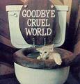 goodbye cruel world!