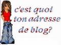 c'est quoi  ton adresse de blog