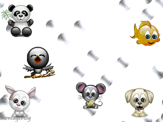 c koi ton animal preferé?